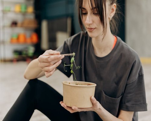 A person enjoying a balanced meal at home